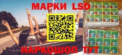 гидра Будённовск