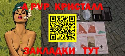 гидра Будённовск