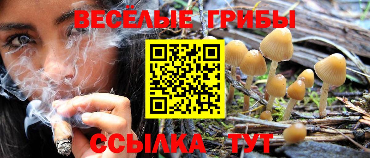 Псилоцибиновые грибы Magic Shrooms Сегежа