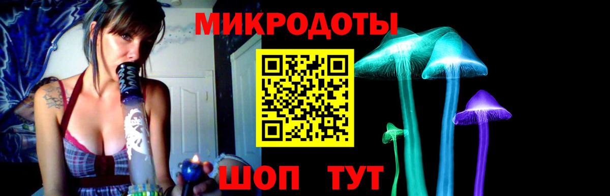 Псилоцибиновые грибы GOLDEN TEACHER  Вход с VPN  Сегежа 
